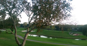 Near Tampa, Innisbrook Resort makes a great trip.