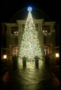 Reynolds Holidays4