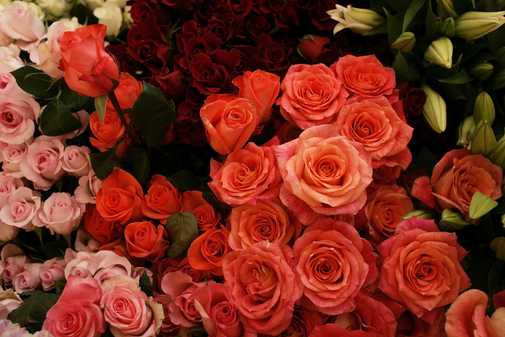 Valentine's Day Boosts Demand For Fresh Flowers