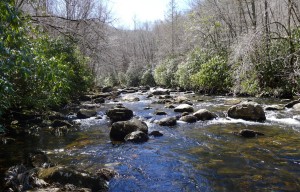 Fly-fishing at Snowbird