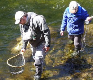 Catching big fish at Snowbird