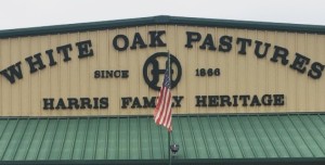 White Oak Pastures