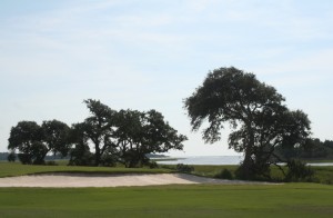 Great views at Tidewater