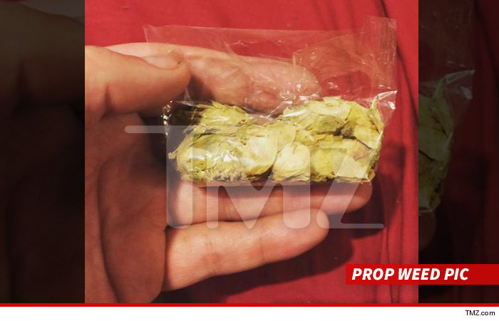 1016-zac-efron-extra-fired-weed-pic-tmz-4