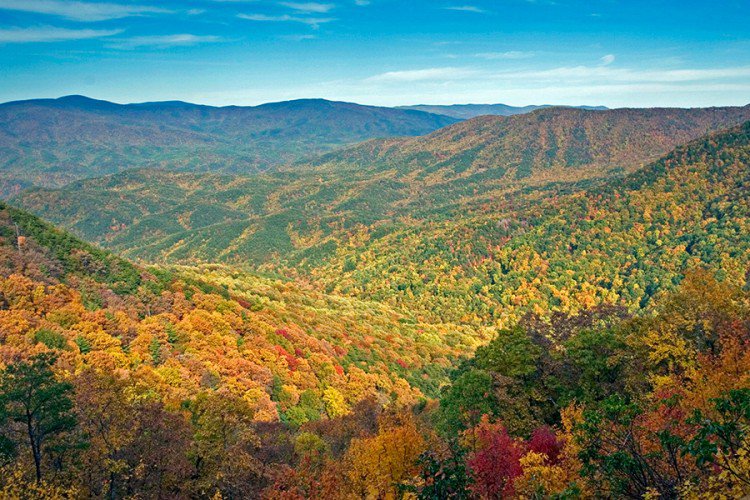 7 Best Places in Georgia for Fall Color