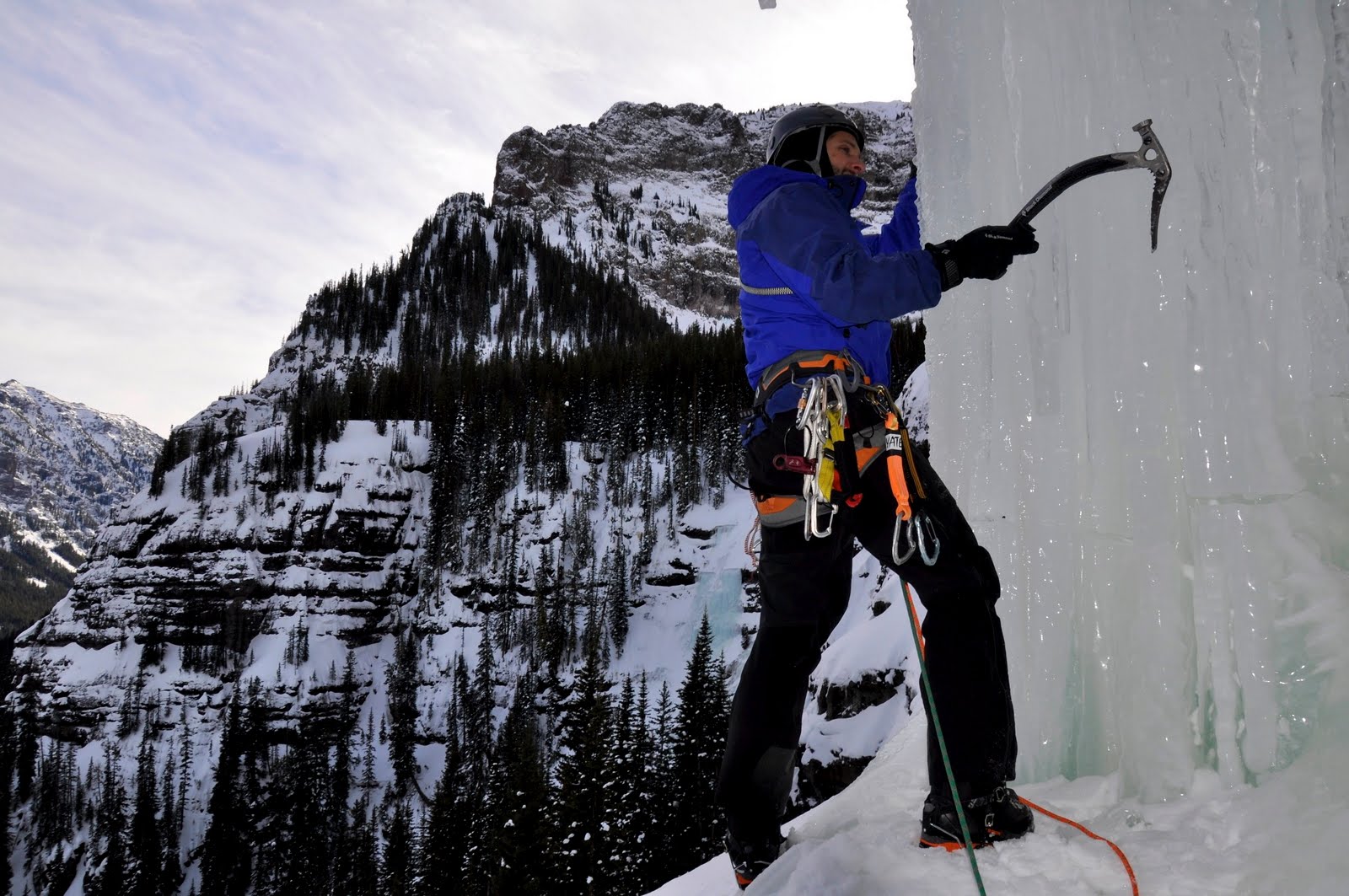 2016 Mugs Stump Awards Announced