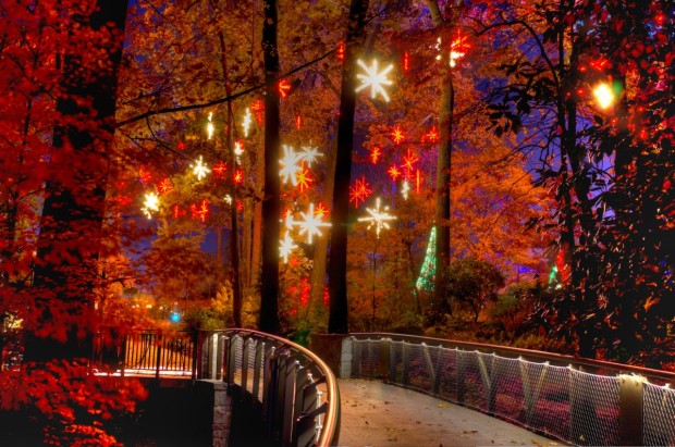 6 Best Places to See Christmas Lights in Atlanta - GAFollowers
