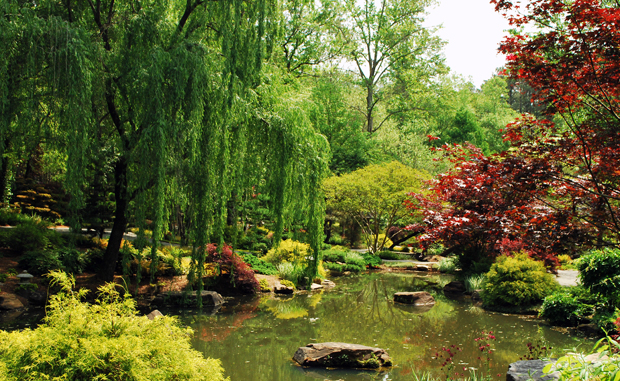 Japanese Garden