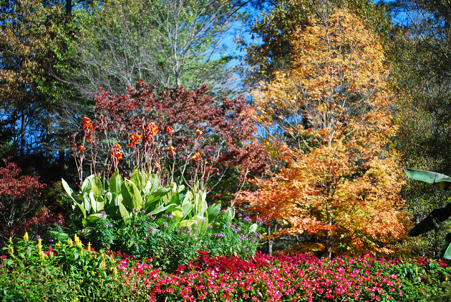 Autumn at Gibbs Gardens