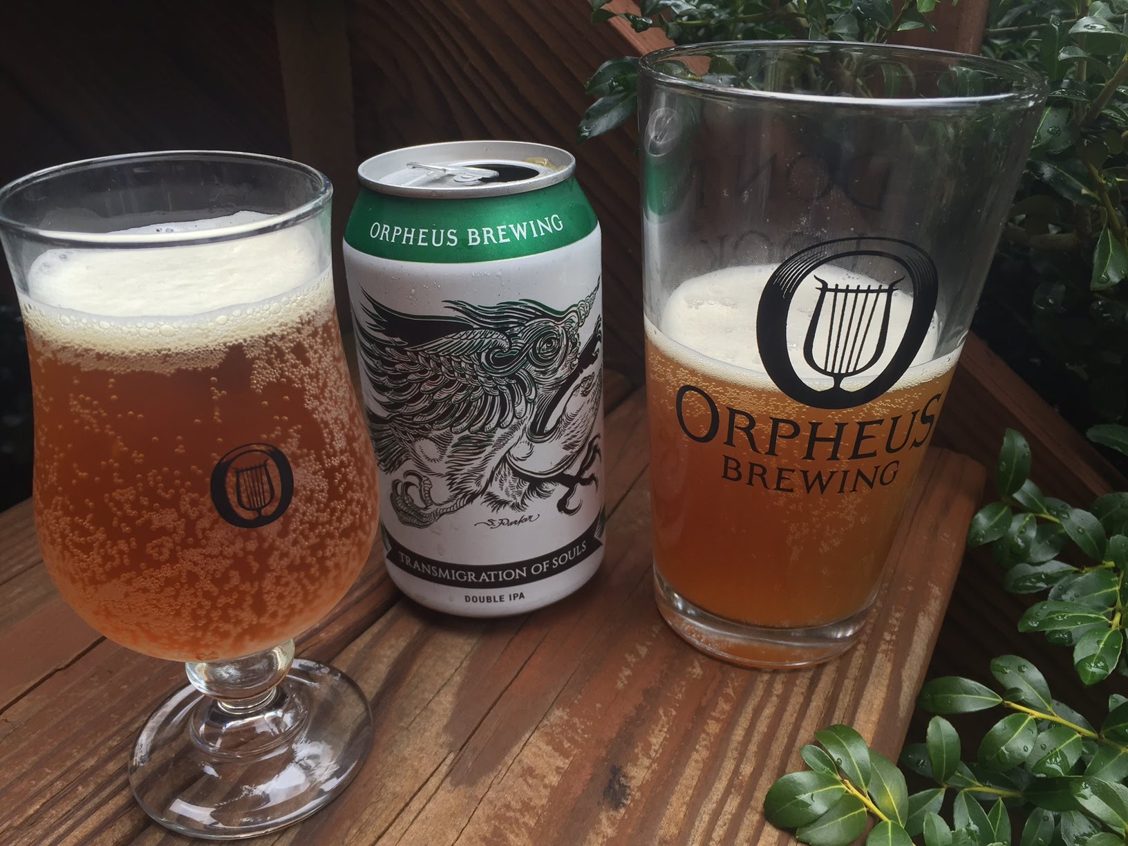 5 Reasons to Attend the Great Southern Beer Competition