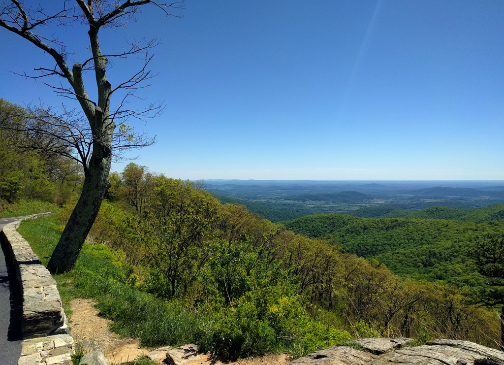 Skyline Drive