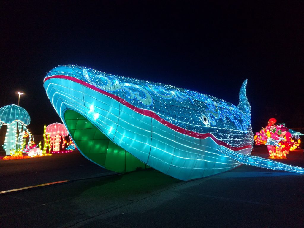 Wally the whale at Illuminate