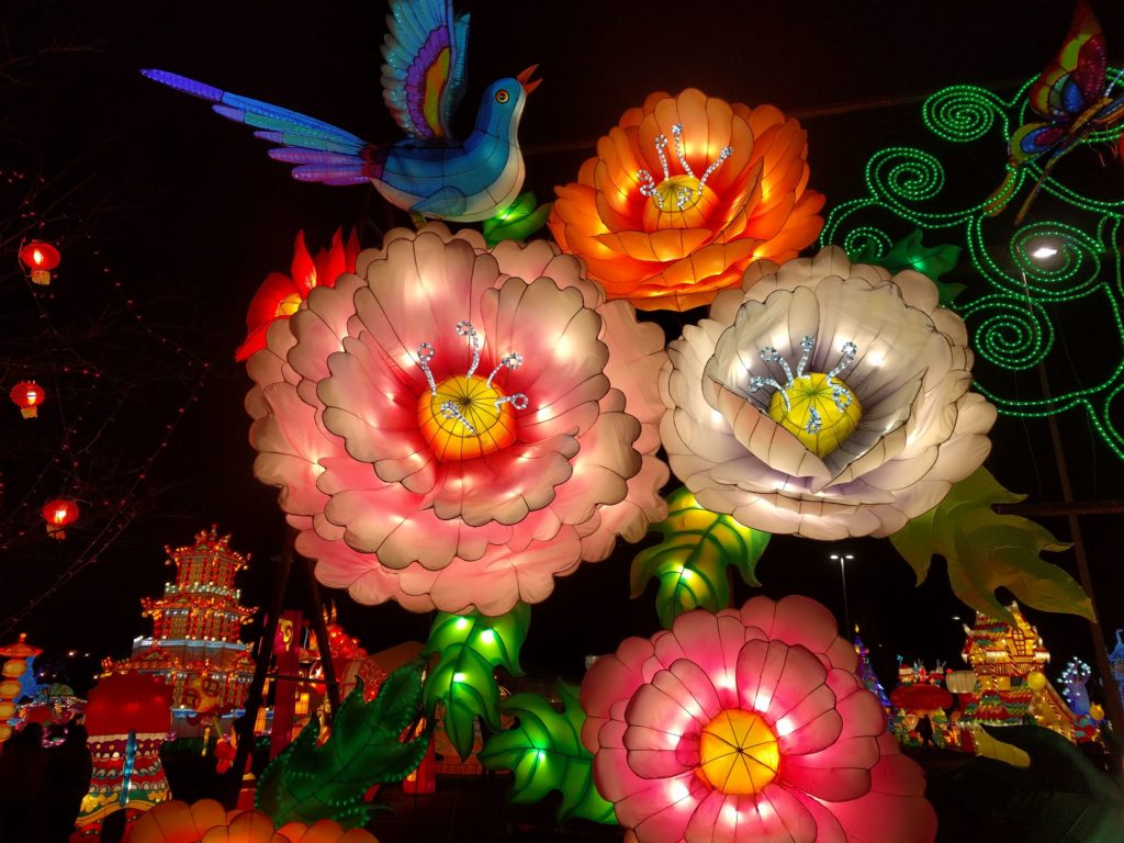 Flowers that open and close at Illuminate Chinese Lantern Festival