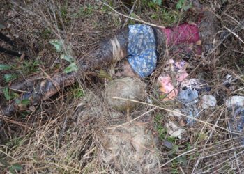 Body Found Near Macon Turns Out to be Life-Sized Doll