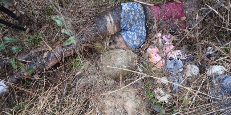 Body Found Near Macon Turns Out to be Life-Sized Doll