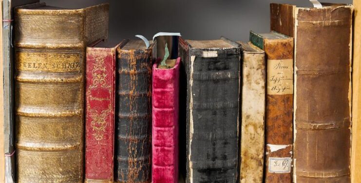 Getting Into A Hobby – What Can Be Fun To Adults