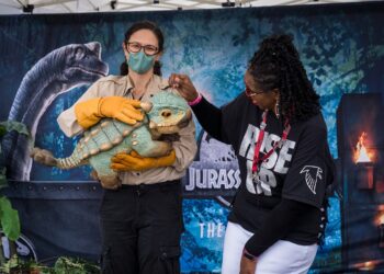 Falcons Team Up with Jurassic World: The Exhibition