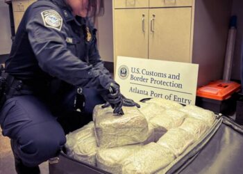 Khat seized by U.S. Customs and Border Protection officers at Hartsfield-Jackson Atlanta International Airport