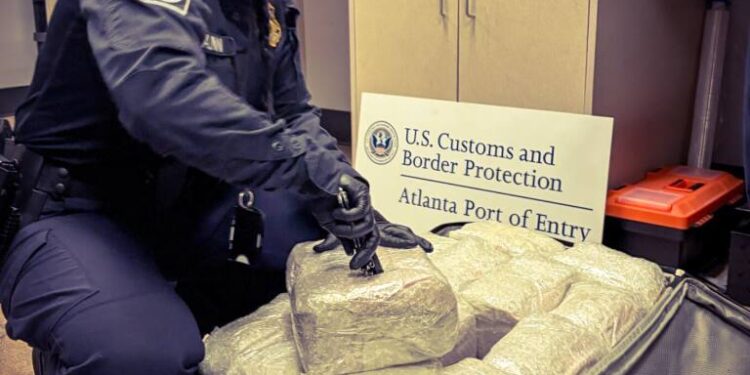 Khat seized by U.S. Customs and Border Protection officers at Hartsfield-Jackson Atlanta International Airport