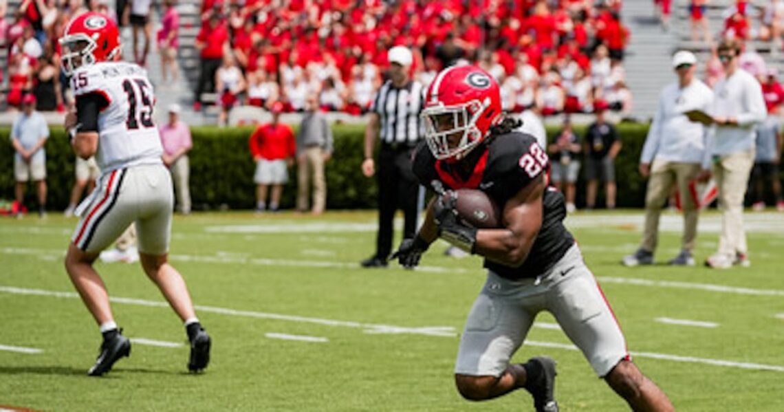 Georgia running back Dante Dowdell during the 2026 G-Day game; file image via WSB-TV.